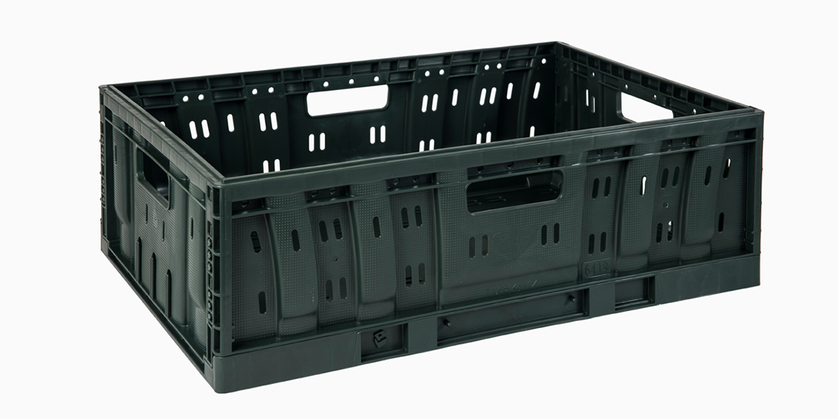 Le cassette riutilizzabili Tosca rivoluzionano la gestione dell'uva 